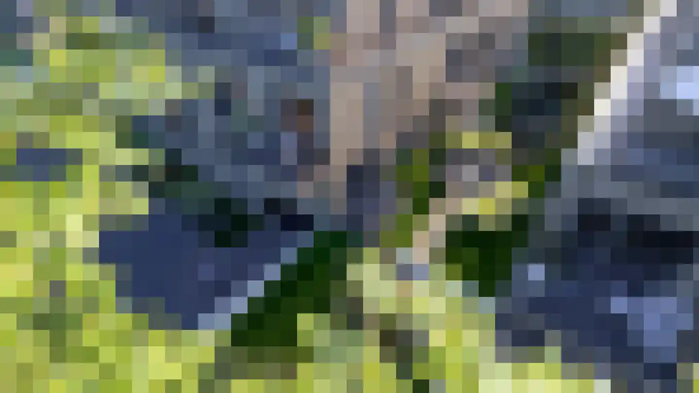 Adelaarslaan 22 1 Apeldoorn thumbnail 4