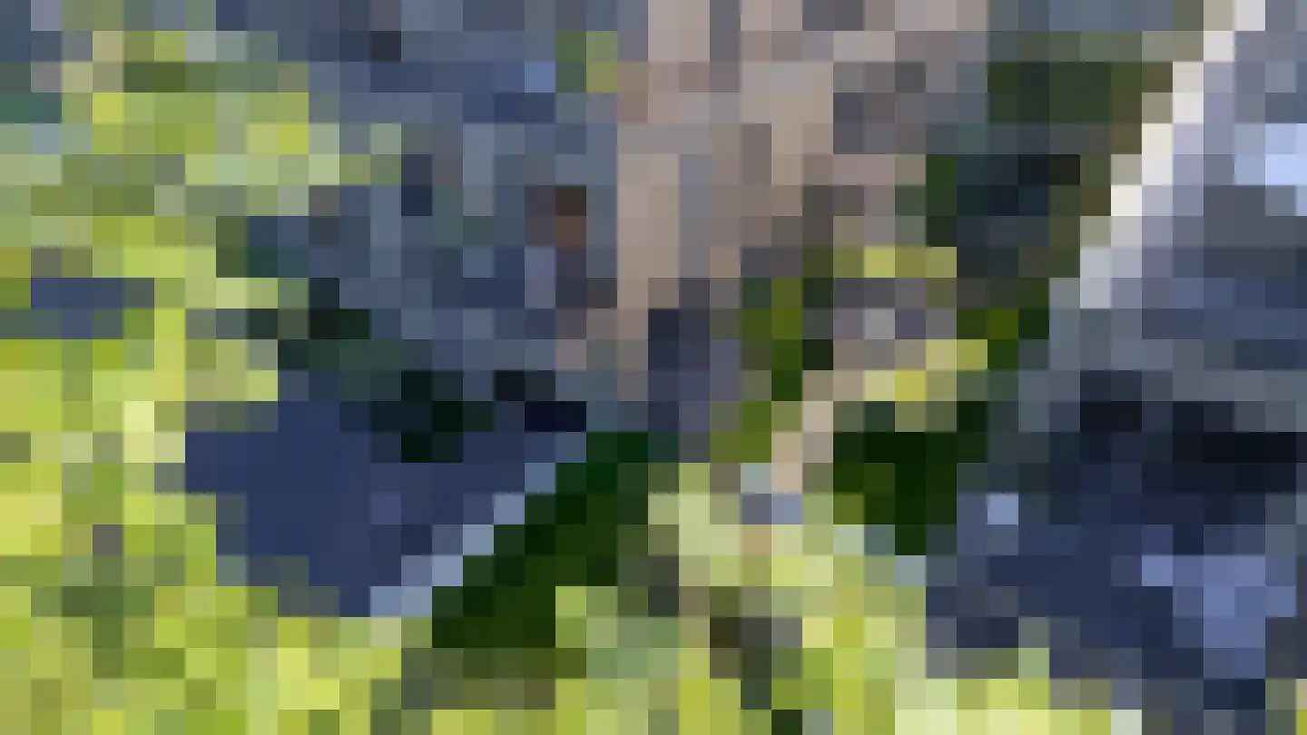 Adelaarslaan 22 17 Apeldoorn thumbnail 4