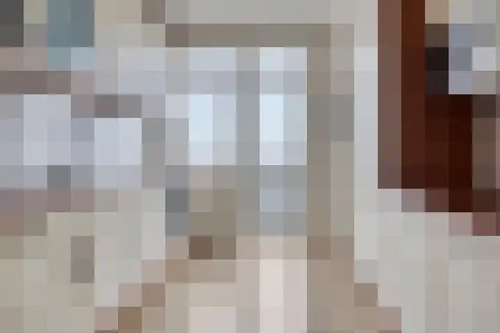 Adelaarslaan 233 Apeldoorn thumbnail 12