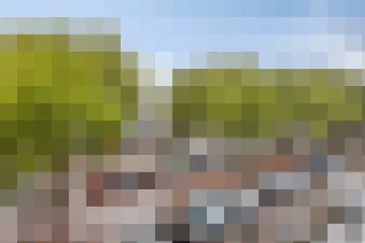 Adelaarslaan 233 Apeldoorn thumbnail 21