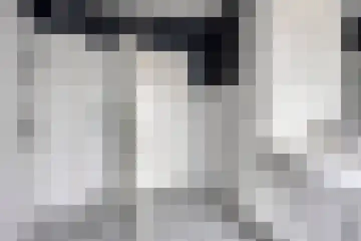 Adelaarslaan 233 Apeldoorn thumbnail 23