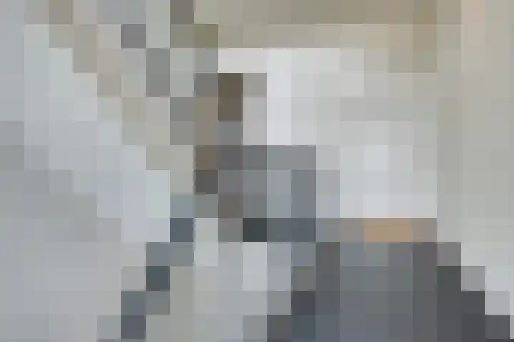 Adelaarslaan 233 Apeldoorn thumbnail 25