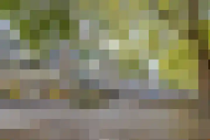 Adelaarslaan 233 Apeldoorn thumbnail 28