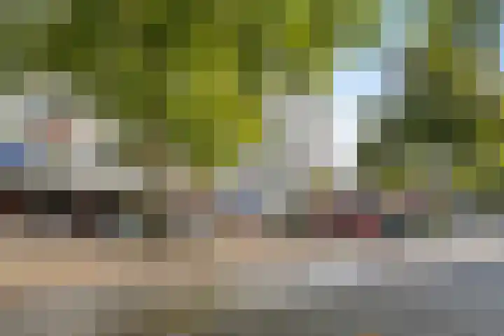 Adelaarslaan 233 Apeldoorn thumbnail 30