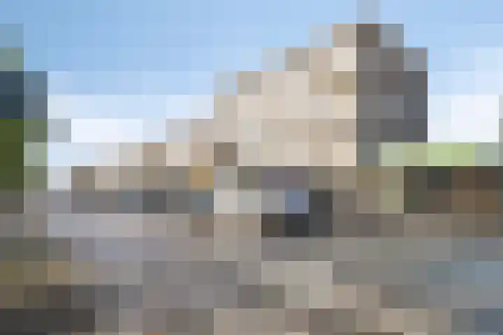 Adelaarslaan 233 Apeldoorn thumbnail 31