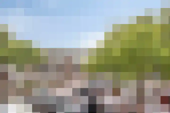 Adelaarslaan 233 Apeldoorn thumbnail 5