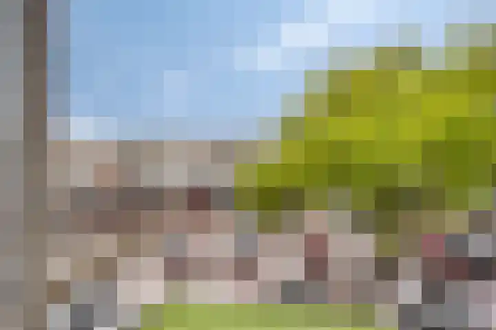 Adelaarslaan 233 Apeldoorn thumbnail 6