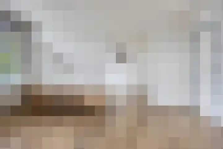 Adelaarslaan 233 Apeldoorn thumbnail 7