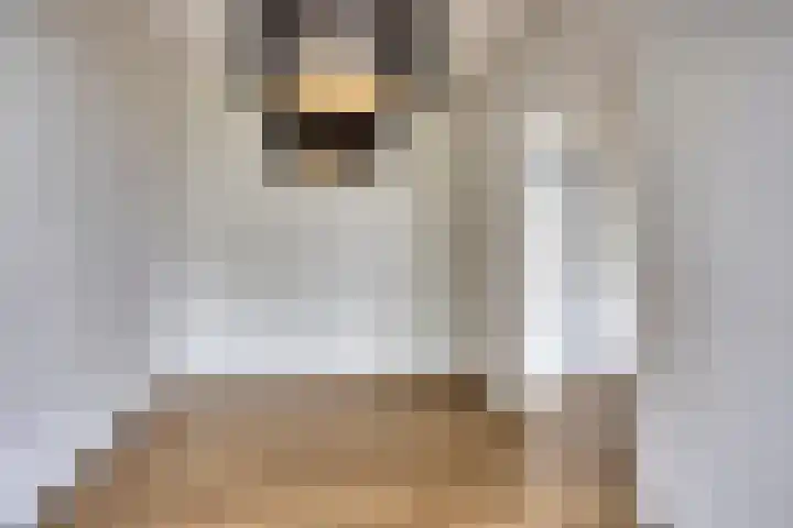 Adelaarslaan 233 Apeldoorn thumbnail 8