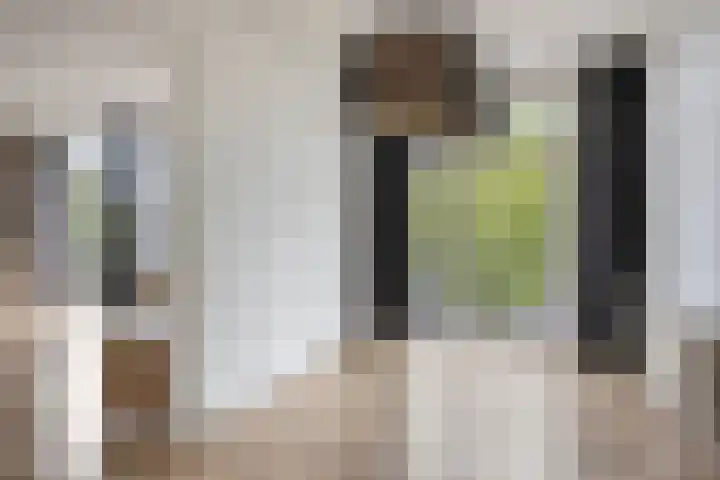 Adelaarslaan 233 Apeldoorn thumbnail 9