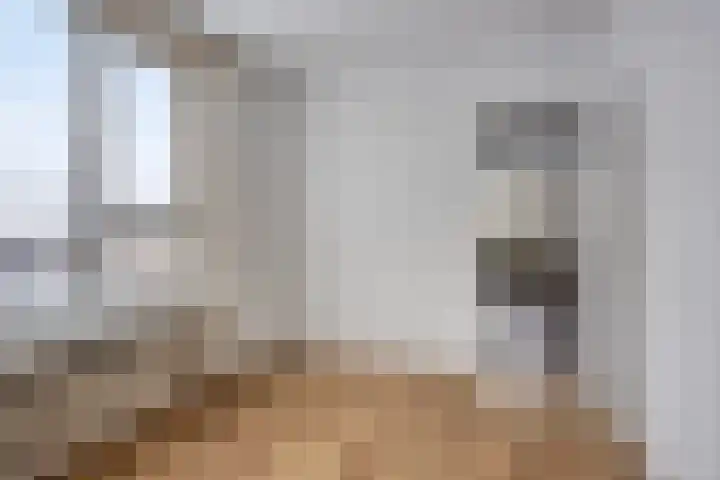 Adelaarslaan 285 Apeldoorn thumbnail 11