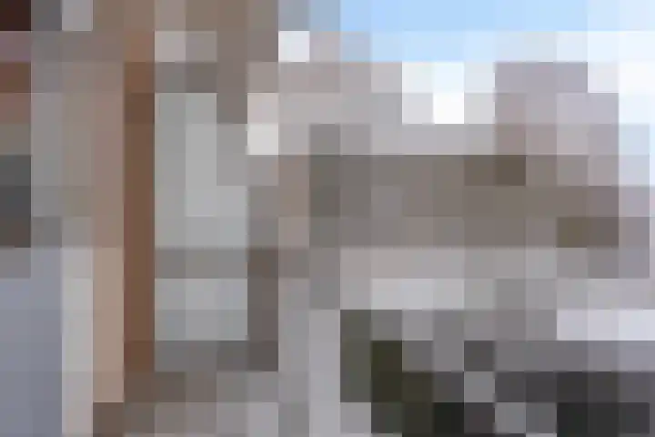 Adelaarslaan 285 Apeldoorn thumbnail 13