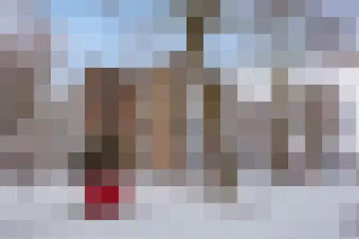 Adelaarslaan 285 Apeldoorn thumbnail 21