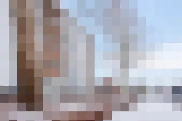 Adelaarslaan 285 Apeldoorn thumbnail 22