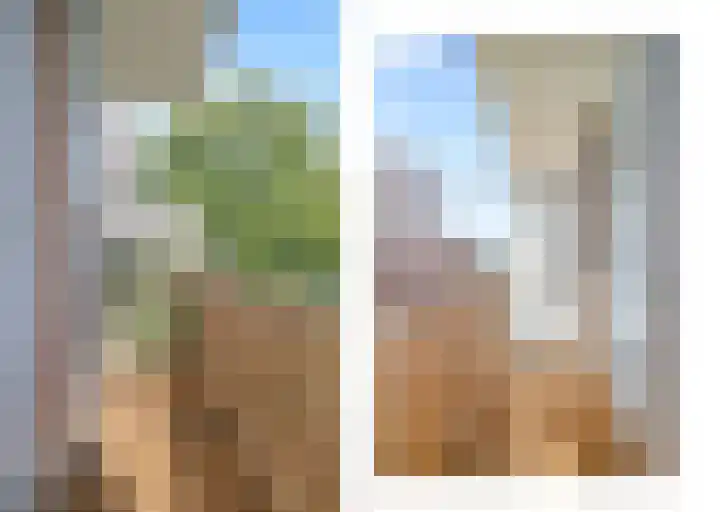 Adelaarslaan 287 Apeldoorn thumbnail 6