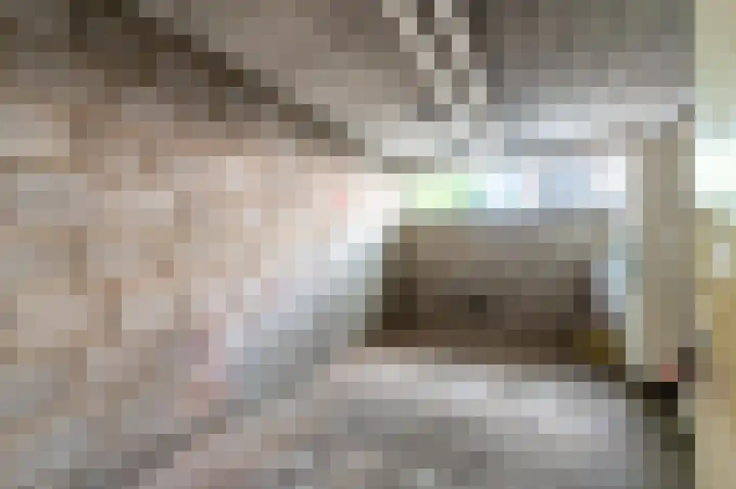 Adelaarslaan 293 Apeldoorn thumbnail 18