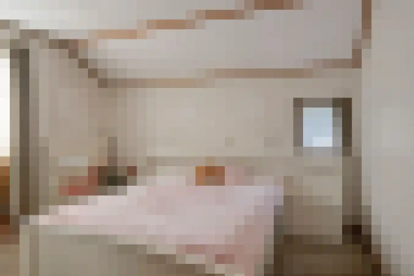 Adelaarslaan 46 Apeldoorn thumbnail 20
