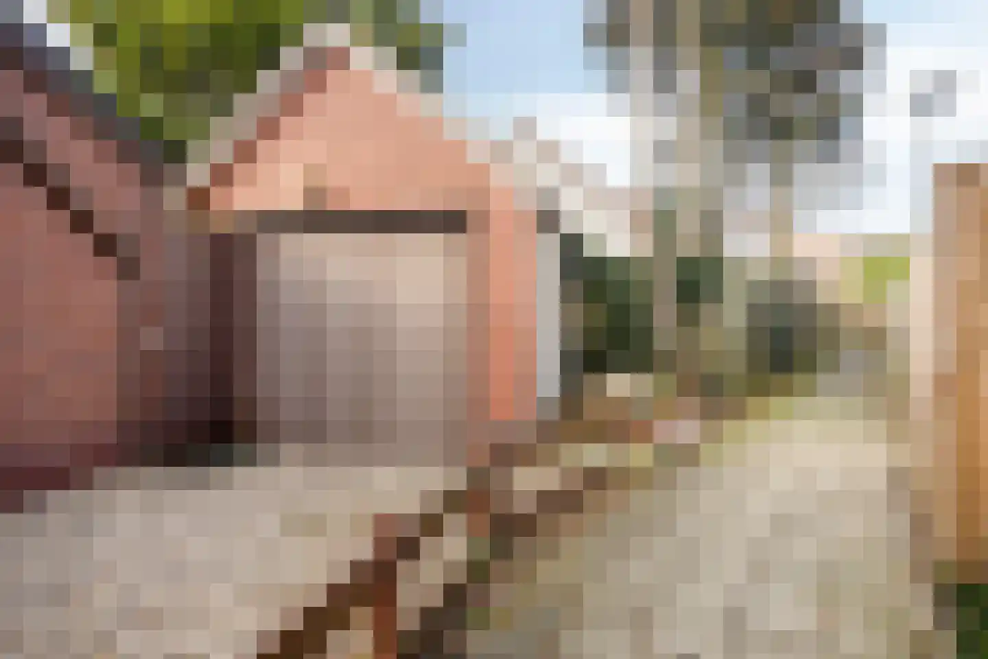 Adelaarslaan 46 Apeldoorn thumbnail 26