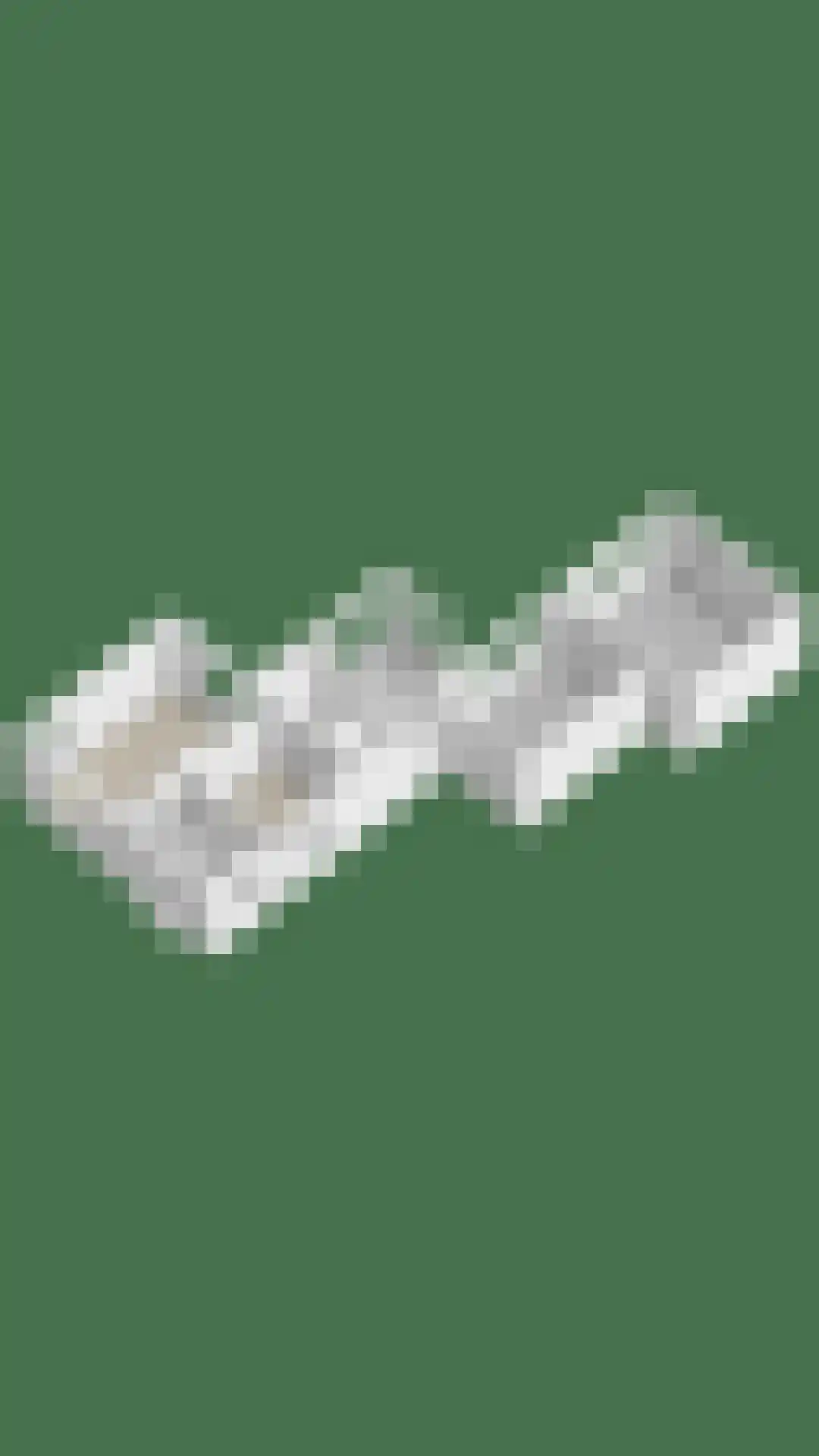 Adelaarslaan 46 Apeldoorn thumbnail 38