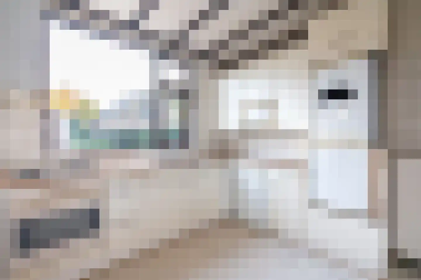 Adelaarslaan 47 Apeldoorn thumbnail 11