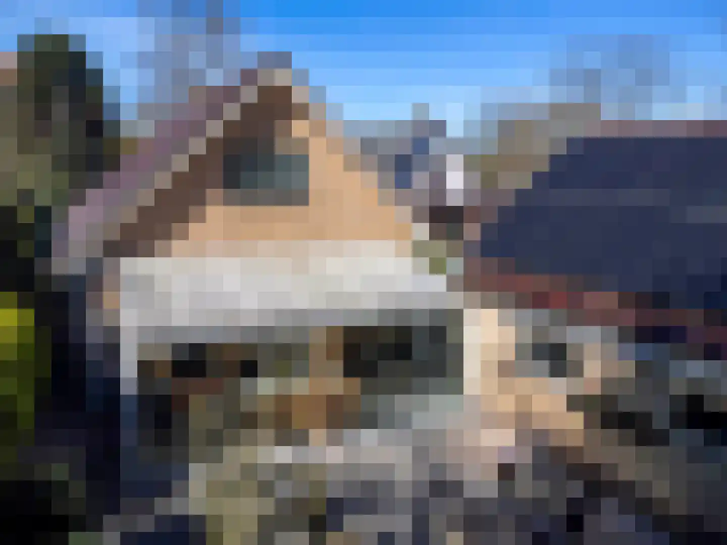 Adelaarslaan 49 Apeldoorn thumbnail 12
