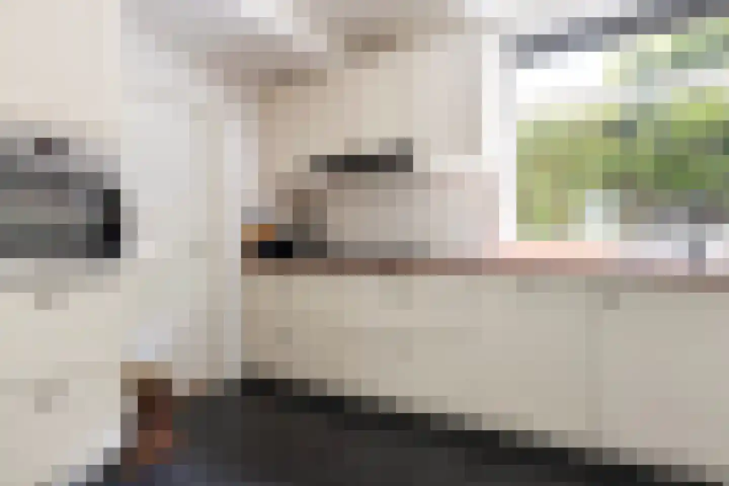 Adelaarslaan 49 Apeldoorn thumbnail 13