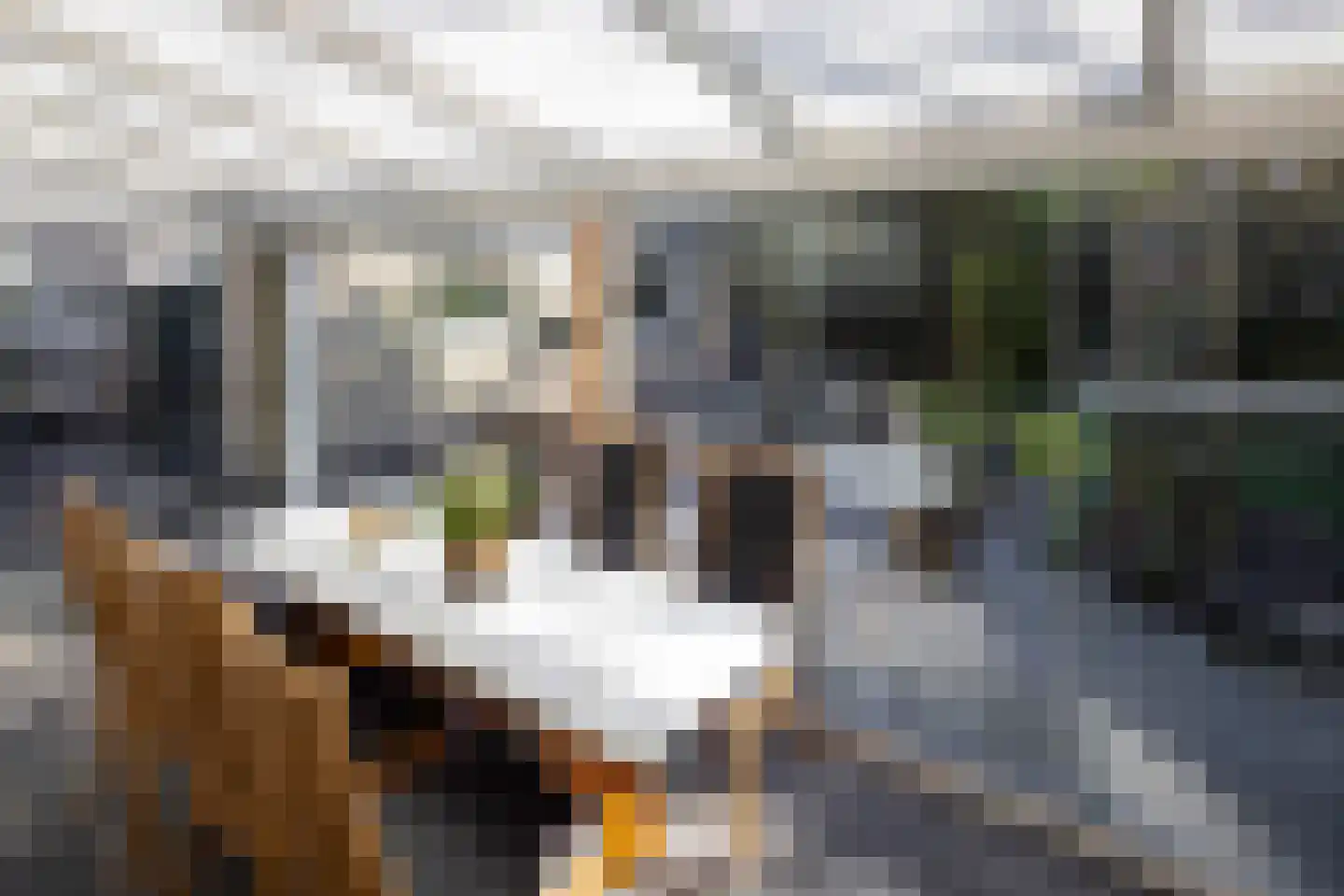 Adelaarslaan 49 Apeldoorn thumbnail 15