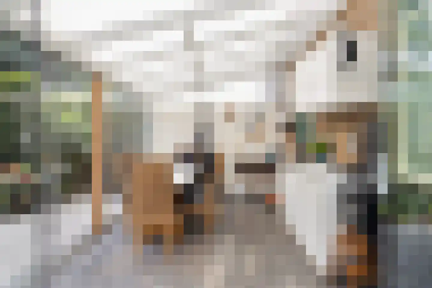 Adelaarslaan 49 Apeldoorn thumbnail 16