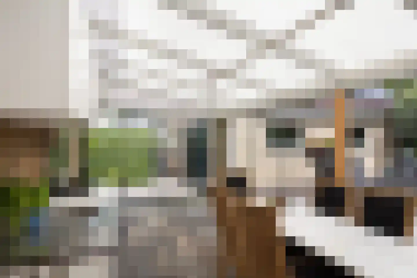 Adelaarslaan 49 Apeldoorn thumbnail 17