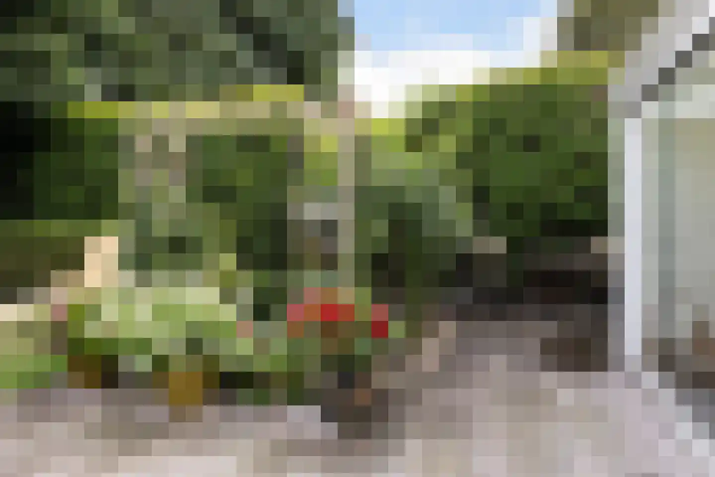 Adelaarslaan 49 Apeldoorn thumbnail 18