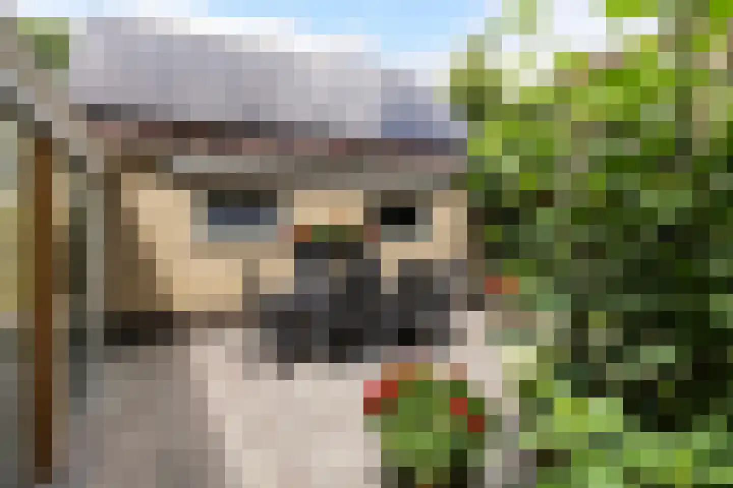Adelaarslaan 49 Apeldoorn thumbnail 19