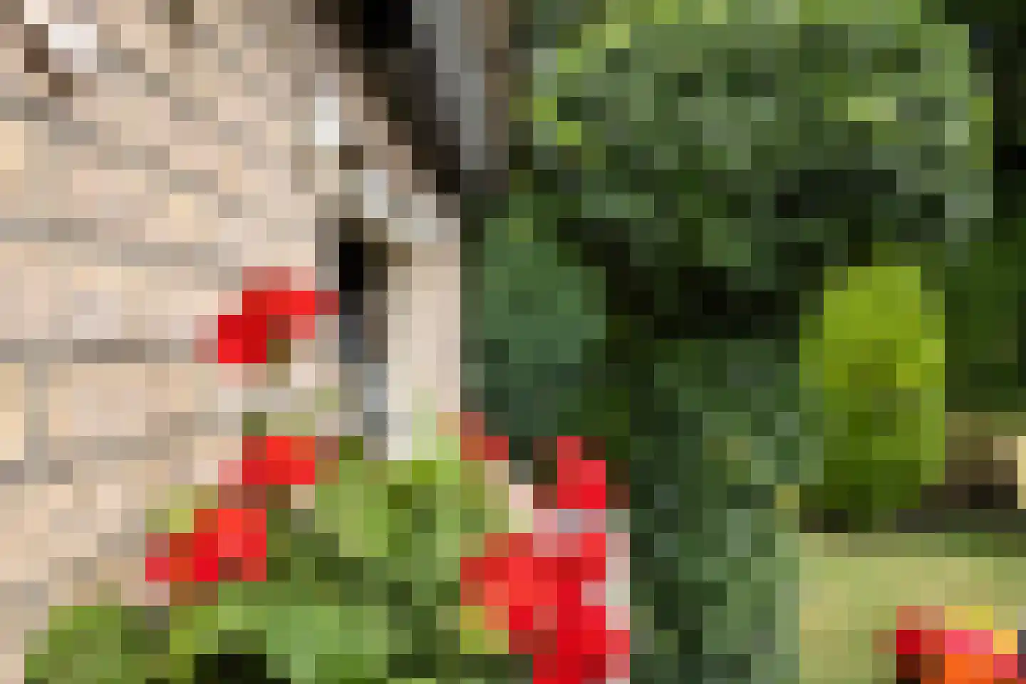 Adelaarslaan 49 Apeldoorn thumbnail 22