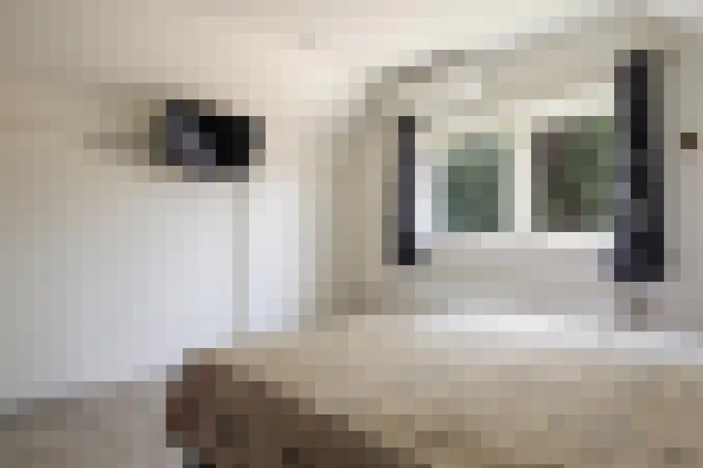 Adelaarslaan 49 Apeldoorn thumbnail 28