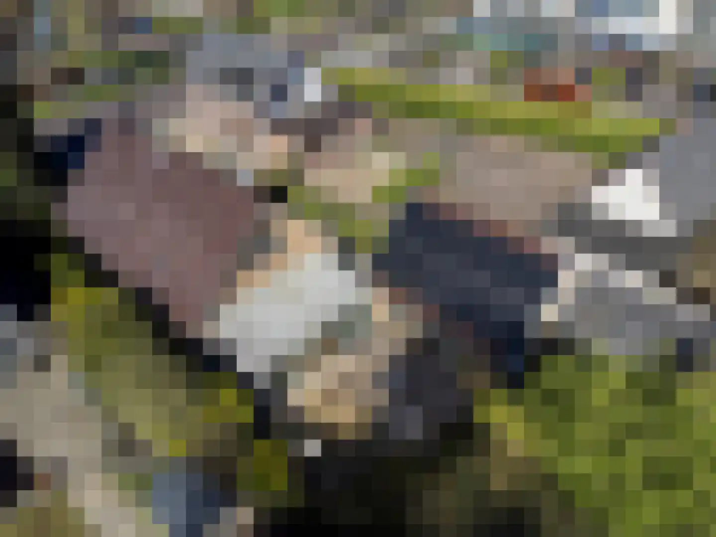 Adelaarslaan 49 Apeldoorn thumbnail 29
