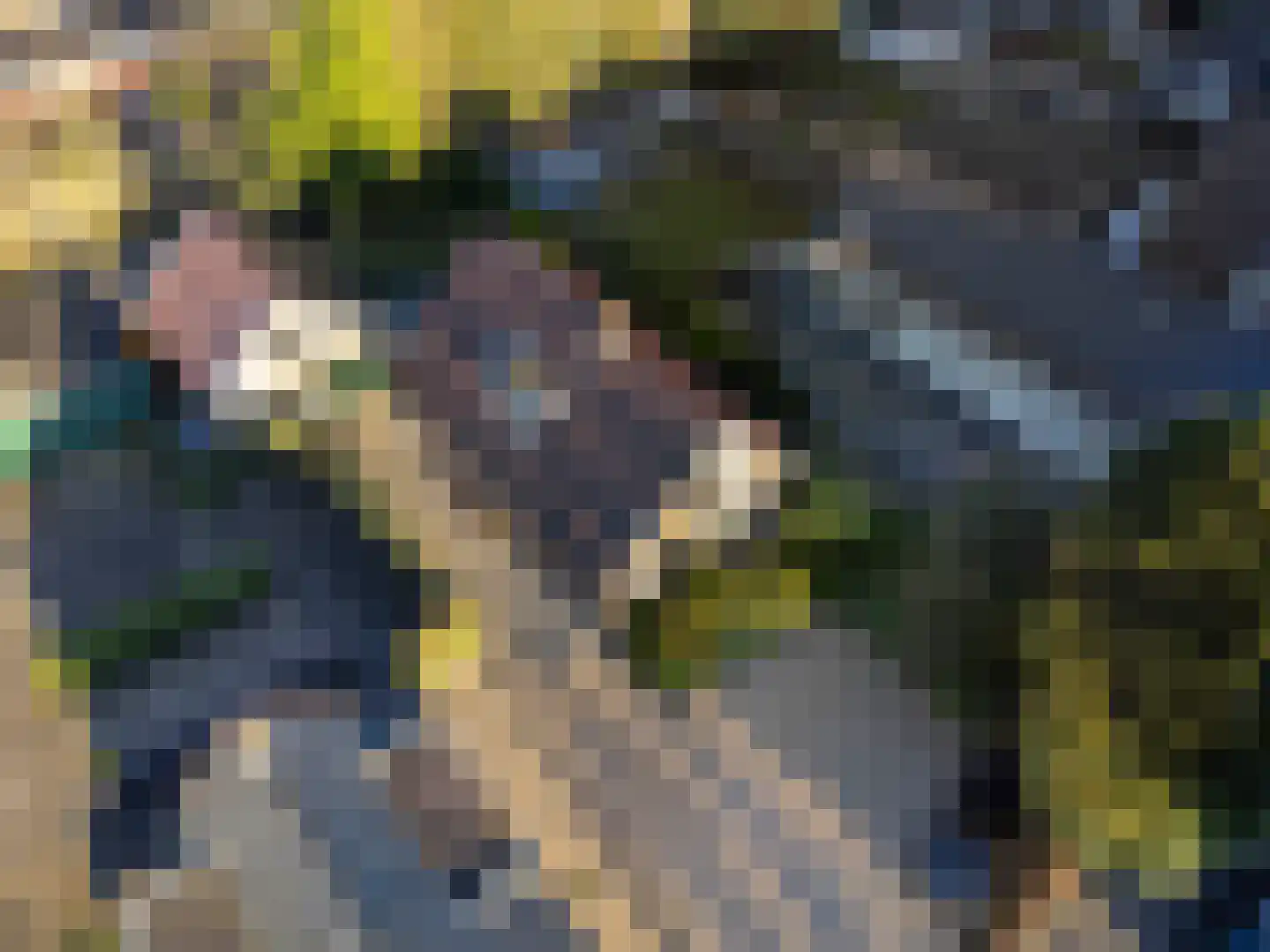 Adelaarslaan 49 Apeldoorn thumbnail 30