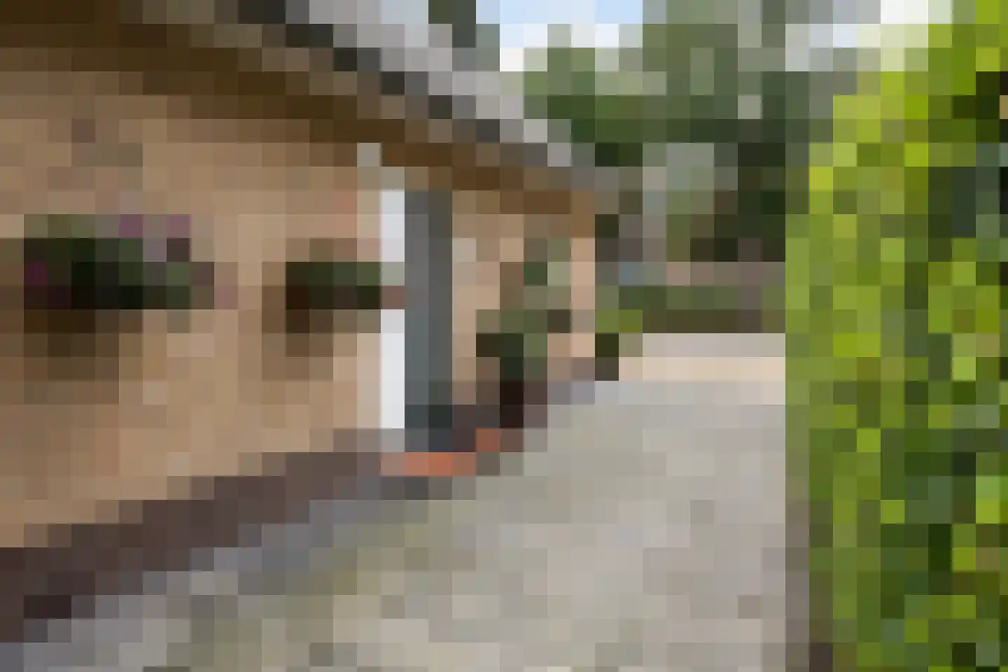 Adelaarslaan 49 Apeldoorn thumbnail 34