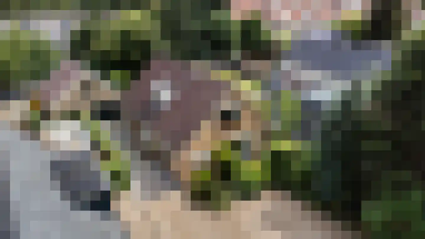 Adelaarslaan 49 Apeldoorn thumbnail 36