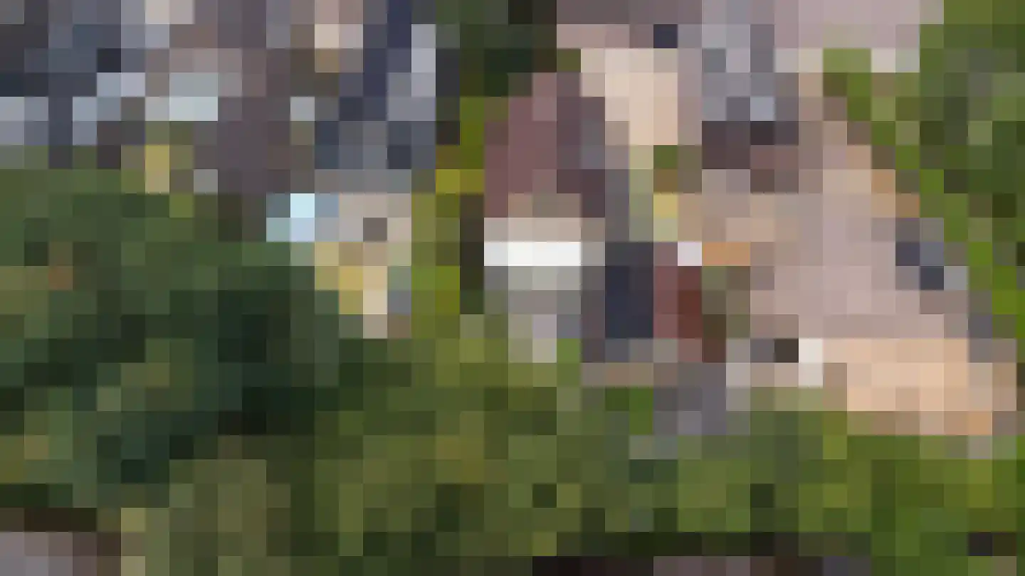 Adelaarslaan 49 Apeldoorn thumbnail 37