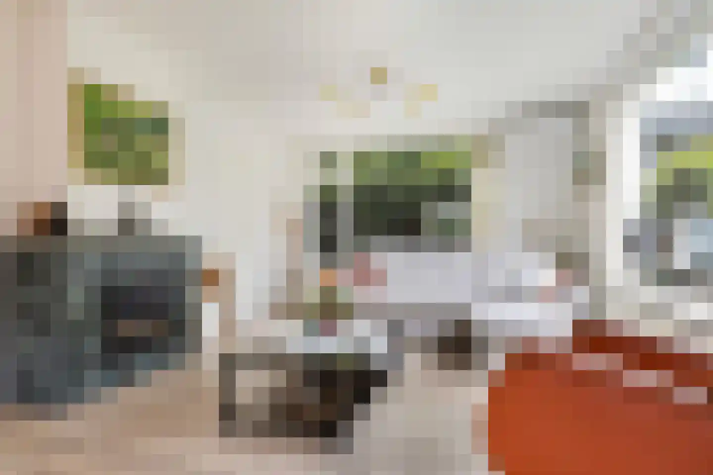 Adelaarslaan 49 Apeldoorn thumbnail 7