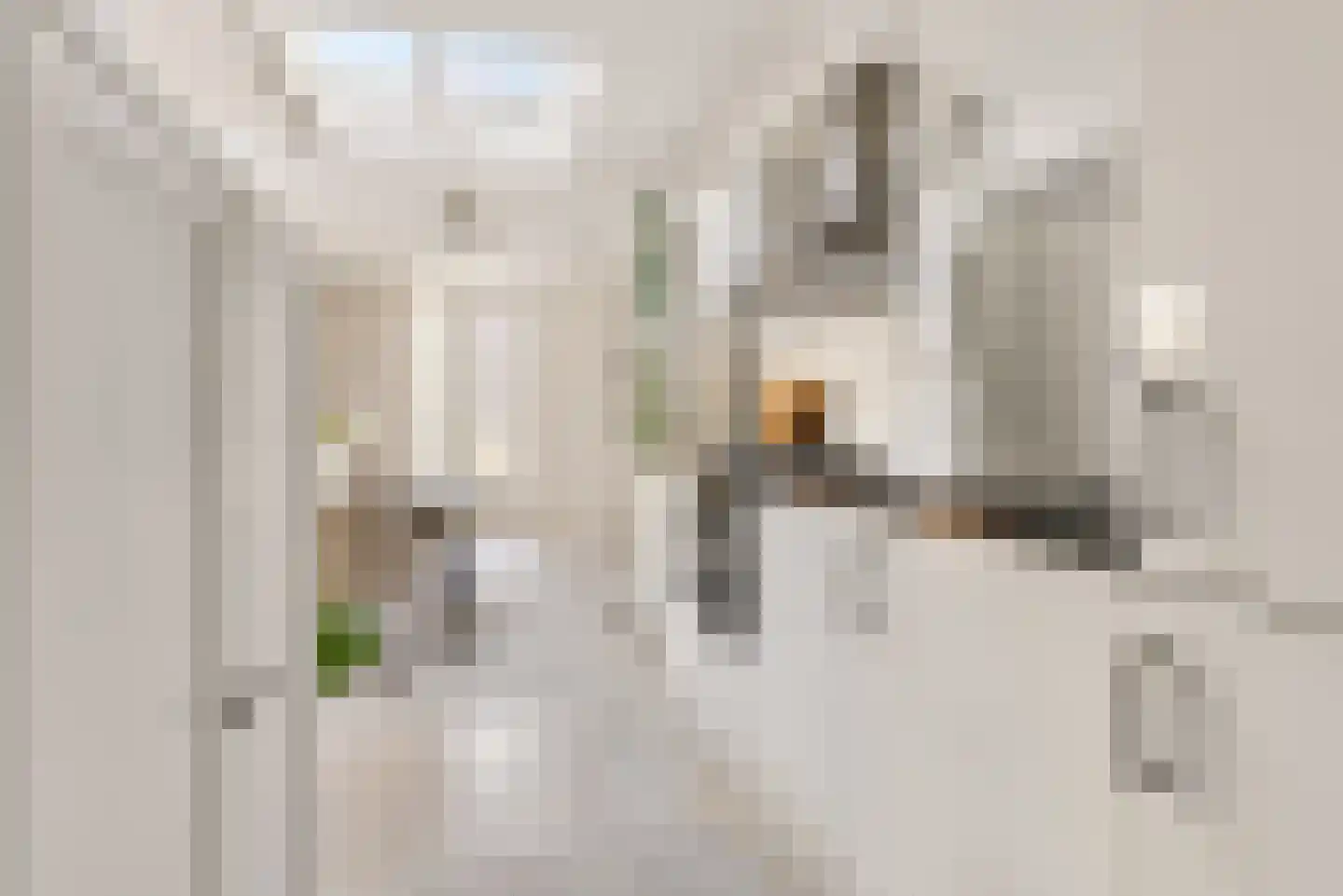 Adelaarstraat 25 D Utrecht thumbnail 10