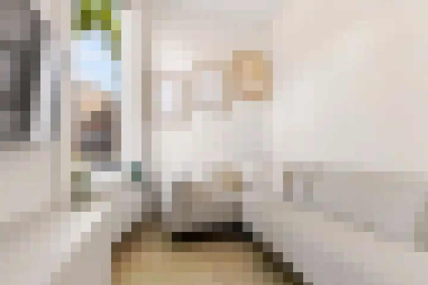 Adelaarstraat 25 D Utrecht thumbnail 19
