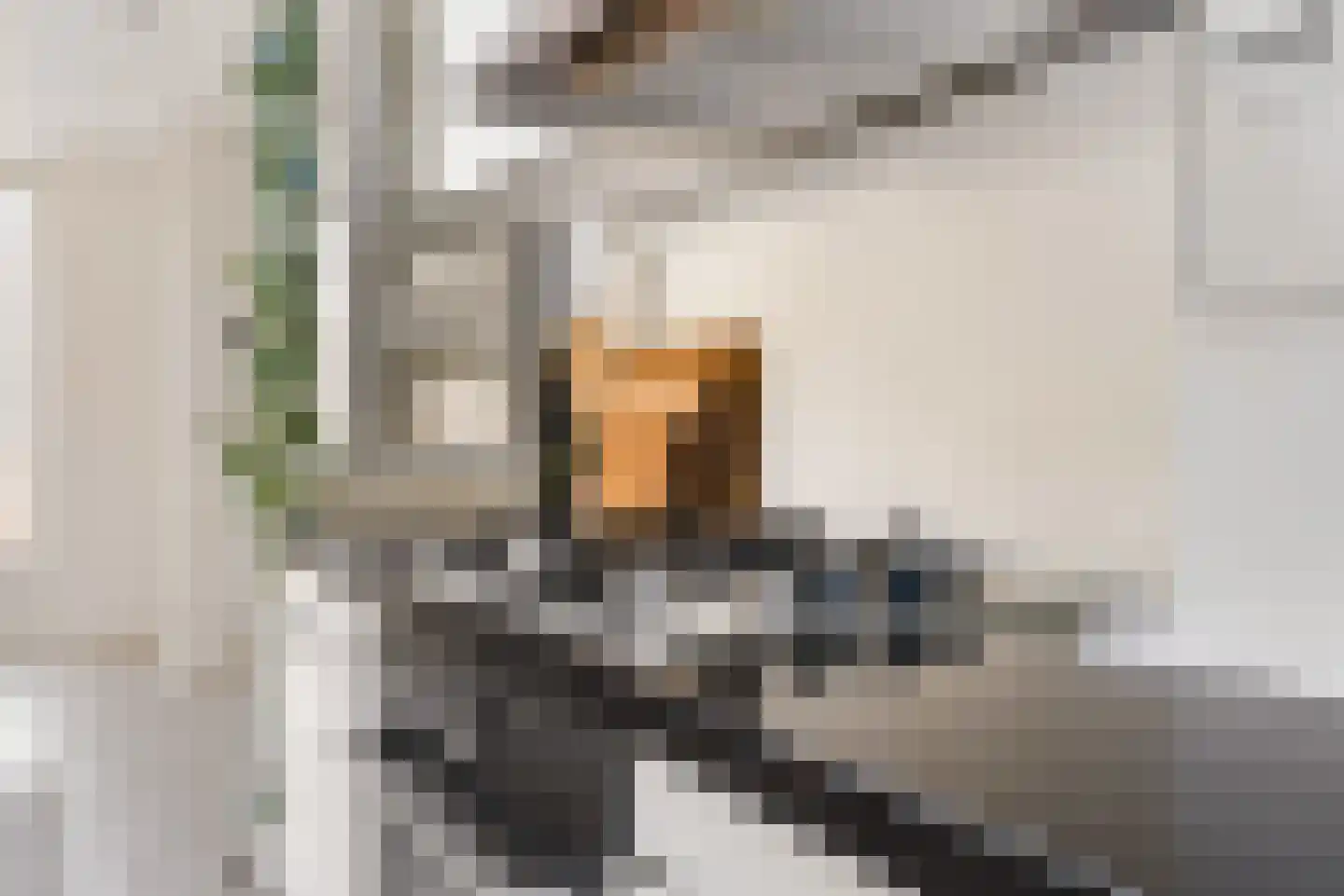 Adelaarstraat 25 D Utrecht thumbnail 24