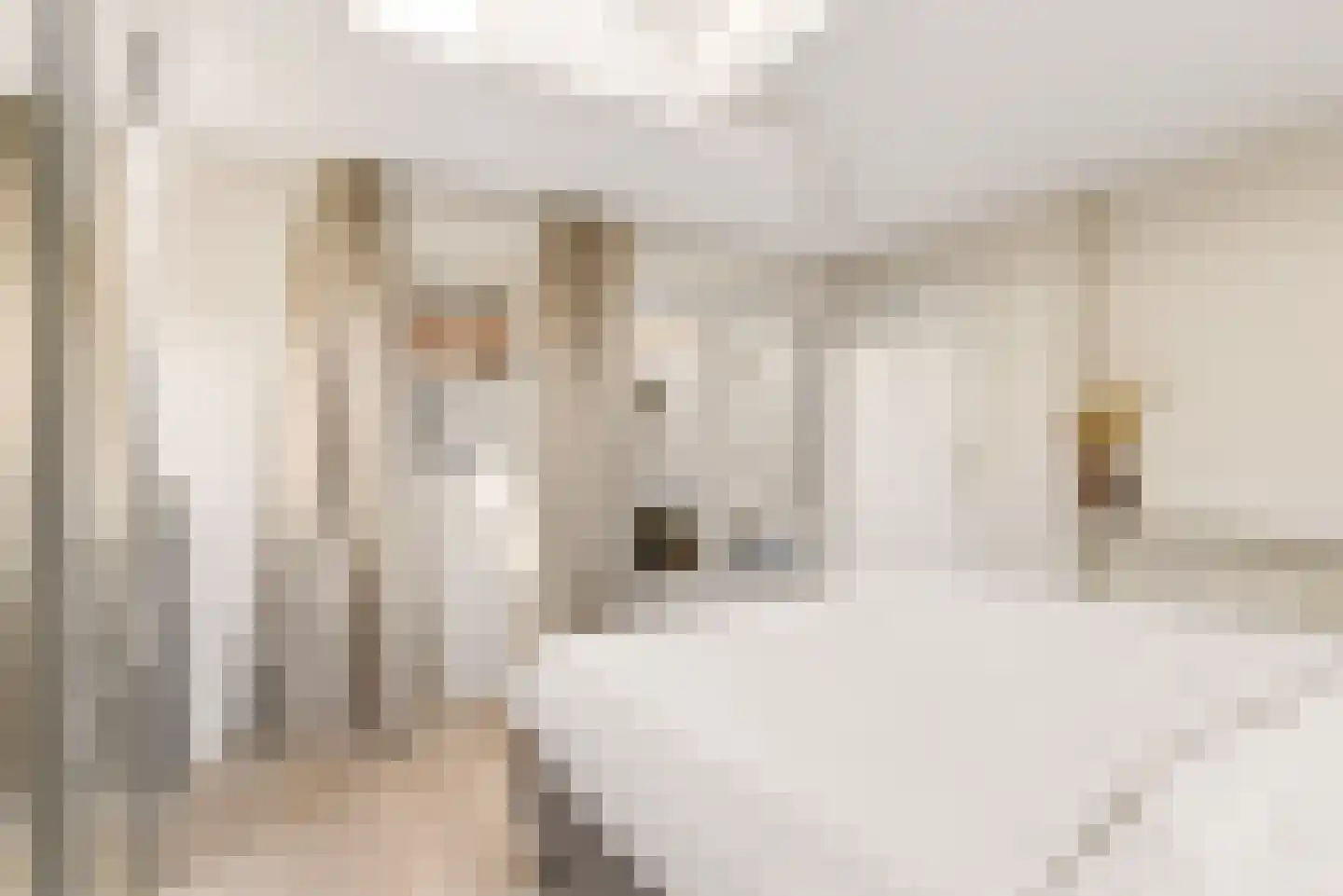 Adelaarstraat 25 D Utrecht thumbnail 28