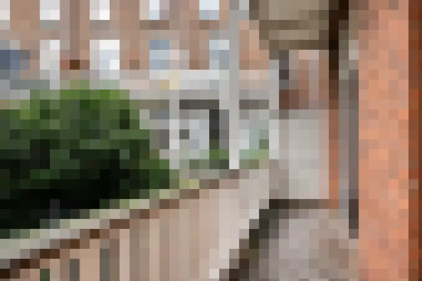 Adelaarstraat 31 Utrecht thumbnail 10