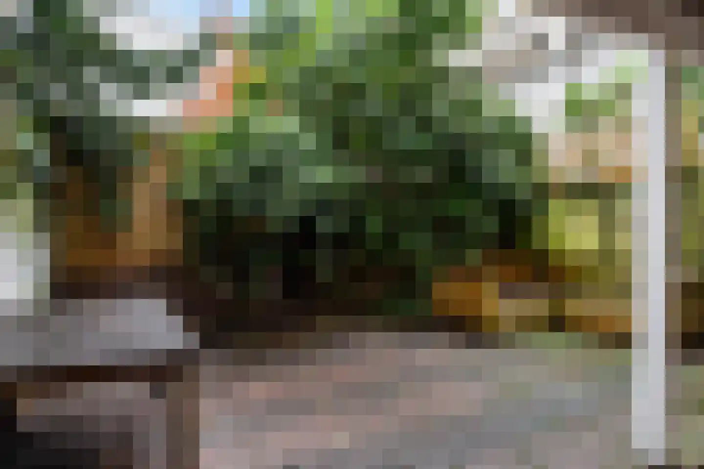 Adelaarstraat 31 Utrecht thumbnail 23