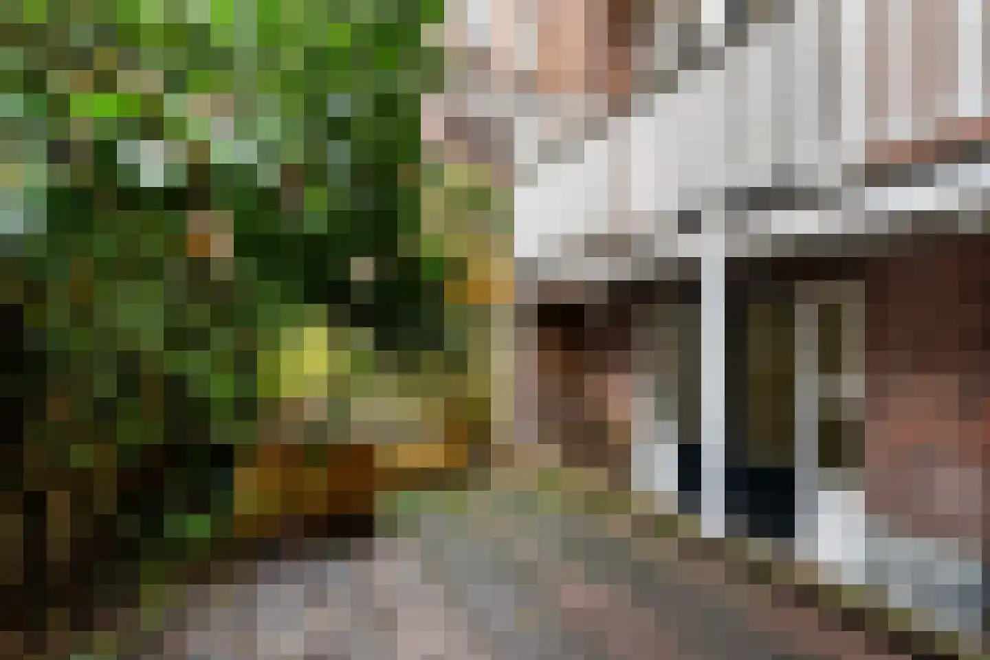 Adelaarstraat 31 Utrecht thumbnail 25