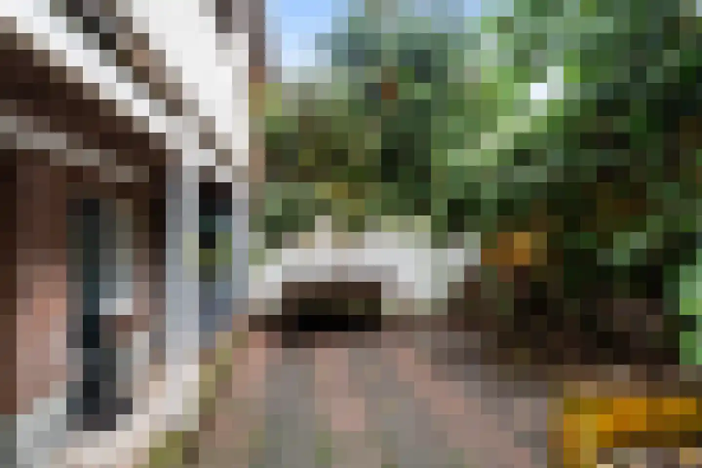 Adelaarstraat 31 Utrecht thumbnail 26
