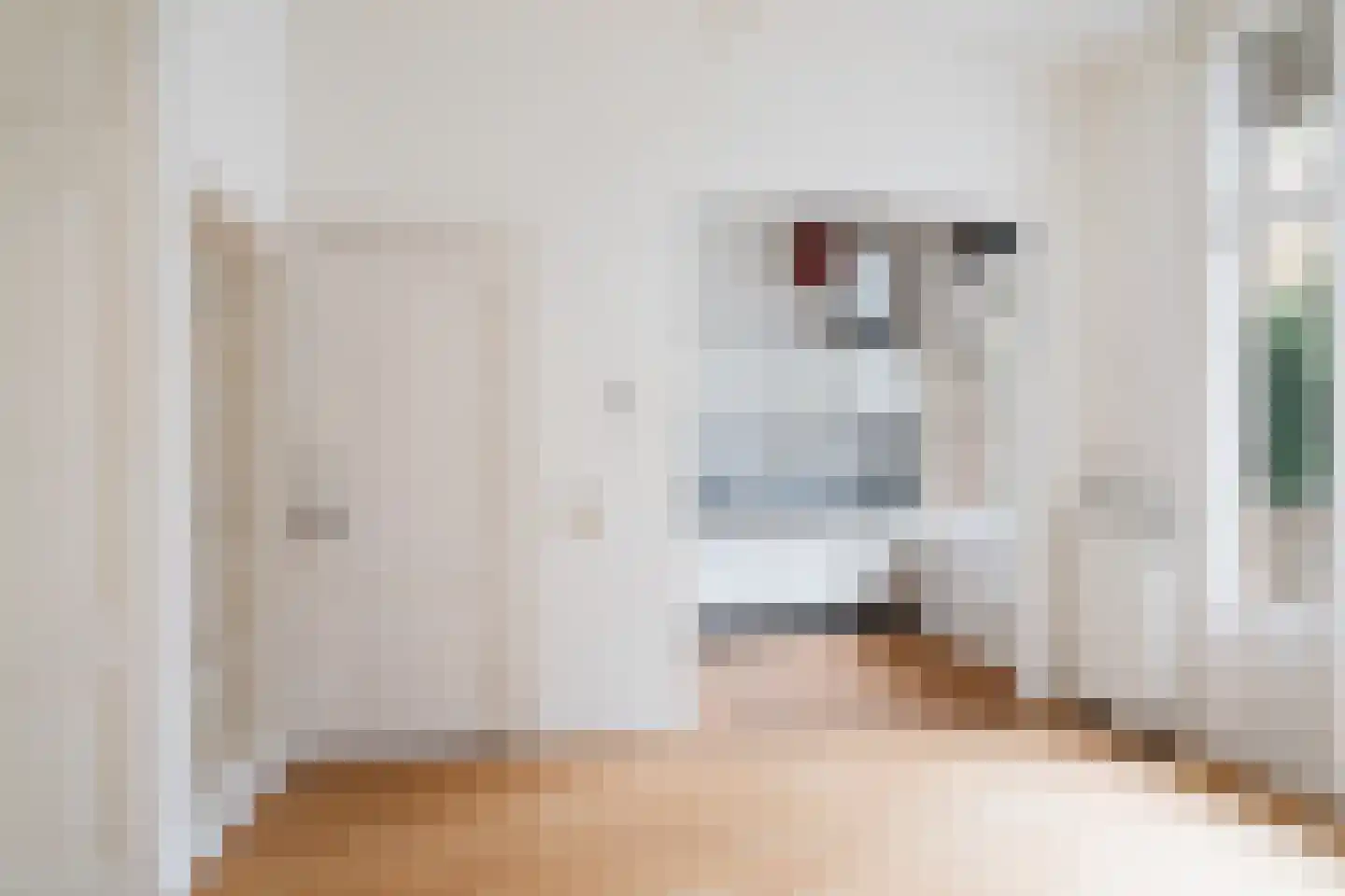 Adelaarstraat 31 Utrecht thumbnail 4