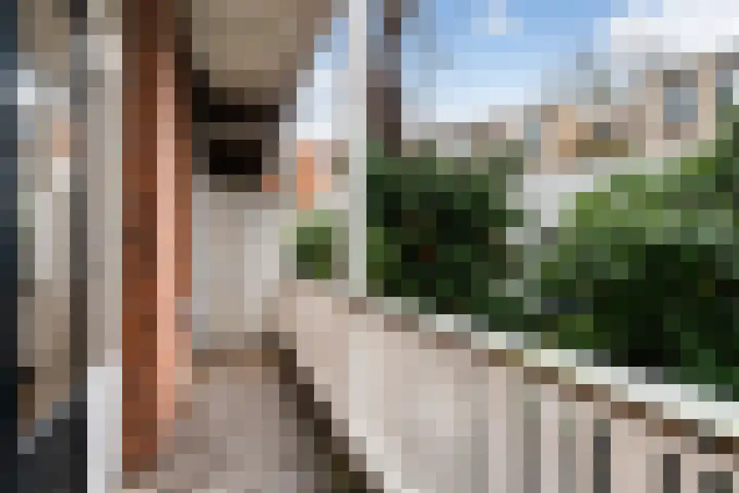 Adelaarstraat 31 Utrecht thumbnail 9
