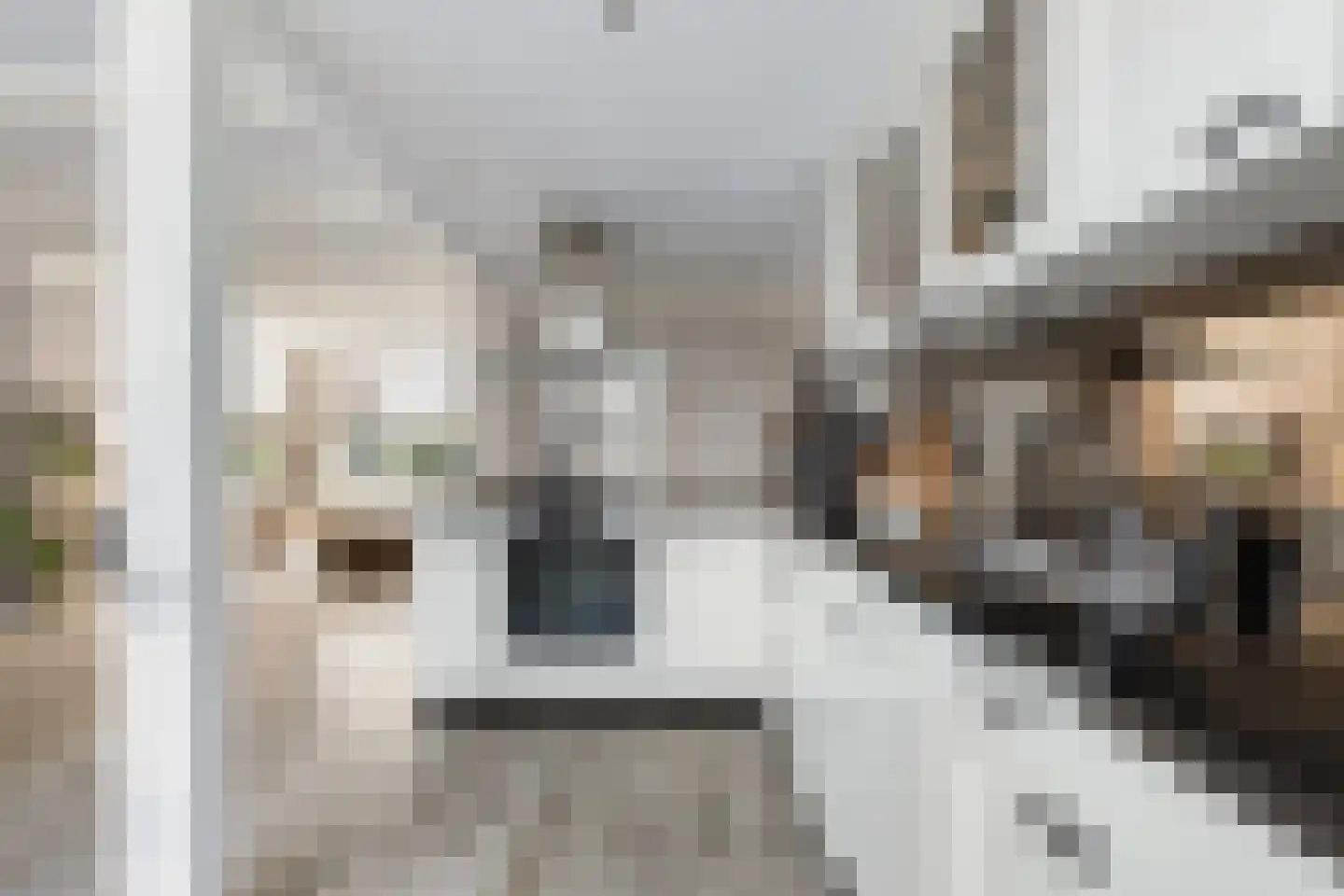 Adelaarstraat 4 Maassluis thumbnail 20
